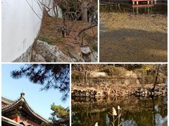 -颐和园