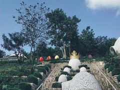 -100蛋泥浆浴