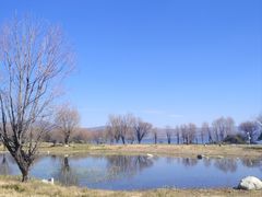 -阳光便利店(环海西路店)