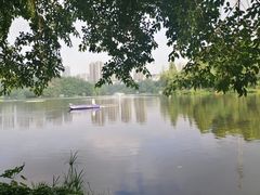 -重庆彩云湖湿地公园