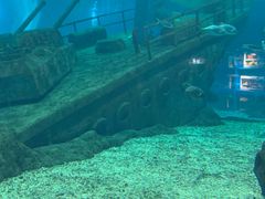 -福州罗源湾海洋世界旅游区