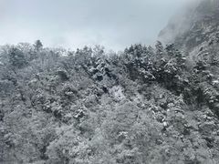 -秦岭天竺山景区