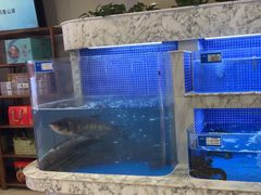 -香山湖渔家大院