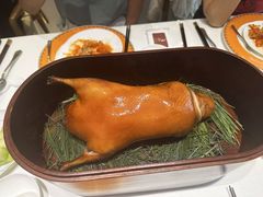 -鹿园 MOOSE(长宁店)