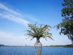 -浙江西子宾馆·牡丹厅