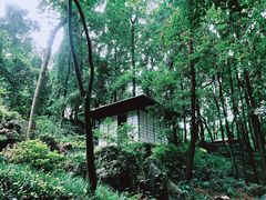 -中国茶叶博物馆(双峰馆区)