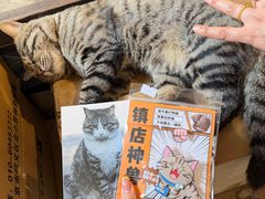 -正阳书局(西四南大街店)