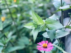 -驿舍·民國老营房院子私房菜(科学会堂店)