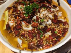 椒麻跳跳蛙-十三式重庆江湖菜(金茂览秀城店)
