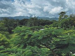 -中国科学院西双版纳热带植物园