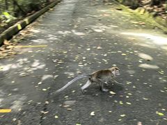 -麦里芝蓄水池