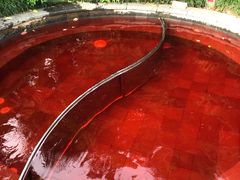 -杭州第一世界大酒店·云曼温泉