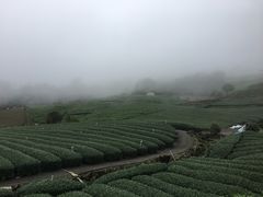 -优游吧斯邹族文化部落