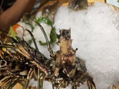 -花和海鲜自助(梅江店)