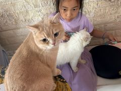 -平行世界·猫咖(首经贸店)