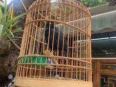 -丽江庭院·云南野生菌·海鲜火锅(鼓楼四合院店)