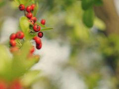 android_upload_pic-新江湾城公园