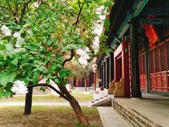 -北京国子监胡同