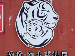 -横道河子东北虎林园