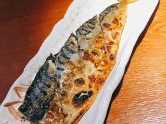 盐烤青花鱼-鳗鱼家·深夜食堂(军博店)