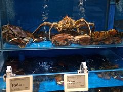 水产区-T11生鲜超市(朝阳公园店)