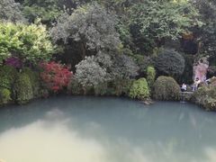 -杭州黄龙洞