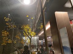 -京华烟云·北京烤鸭(领展购物广场·中关村店)