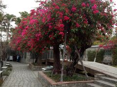 -东莞市可园博物馆