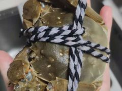 -喜洋洋蟹庄(阳澄湖店)