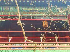 -潭柘寺景区