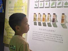 -中国湿地博物馆
