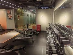 -健身专家Wellness Experts