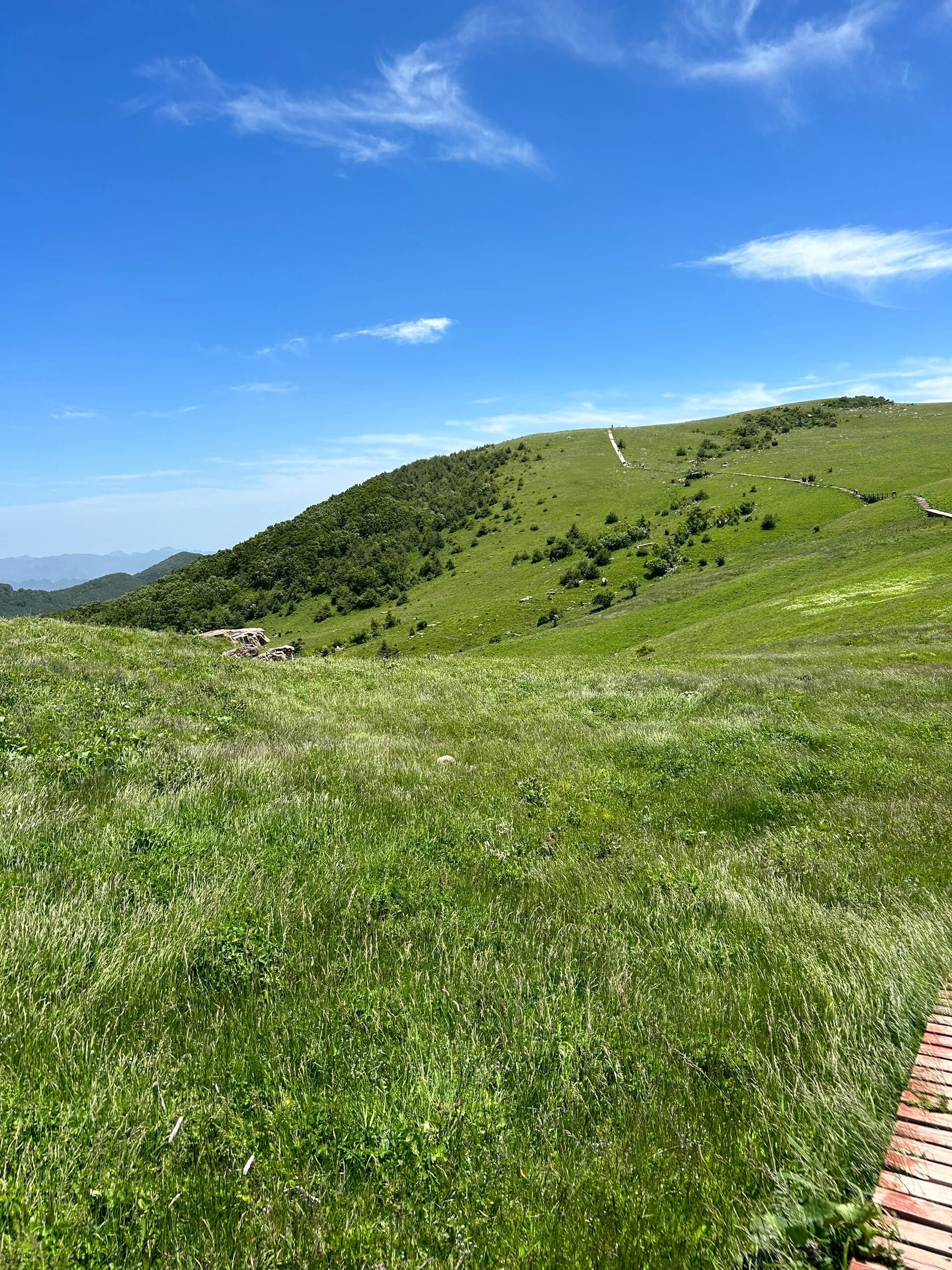 n💚目的地:山西历山舜王坪景区.