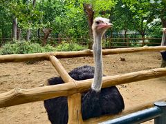 -大连森林动物园