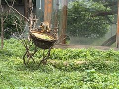 -合肥野生动物园