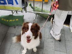 -新光里