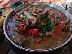 -鱼乐岛餐厅·户外花园主题餐厅