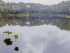 -东郊湿地公园