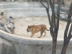 -石家庄市动物园