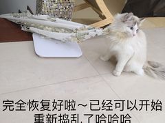 -福州肆爪动物医院