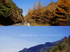 -沣峪口