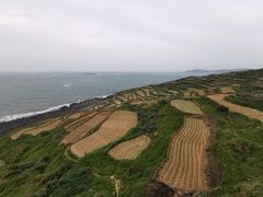 -长江澳风力发电景观区