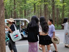 -日照海滨国家森林公园