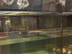 -万鱼亭 日本料理(无锡香山名园店)