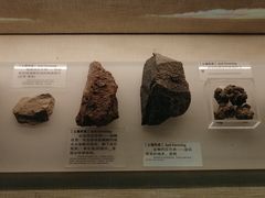 -中国农业博物馆