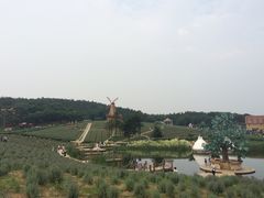 -大塘金香草谷