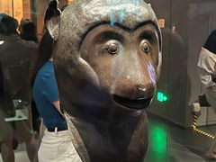 -广西壮族自治区博物馆