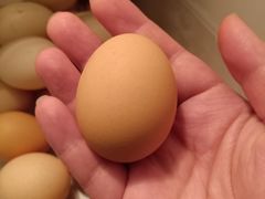 -锅圈食汇火锅烧烤食材超市(金田道店)