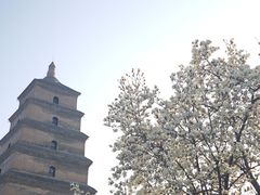 -大慈恩寺(大雁塔)