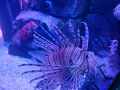 -沈阳海洋探索中心